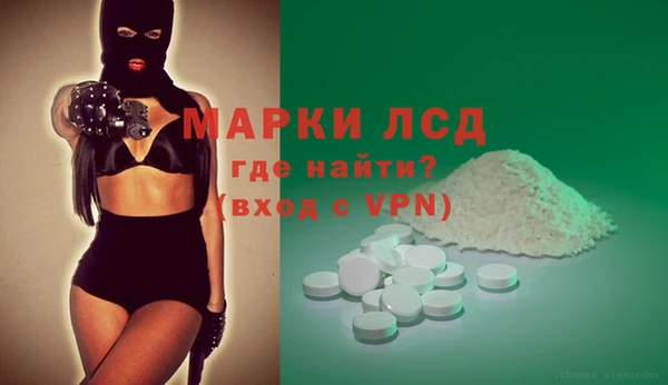 гашик Аркадак