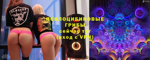 гашик Аркадак