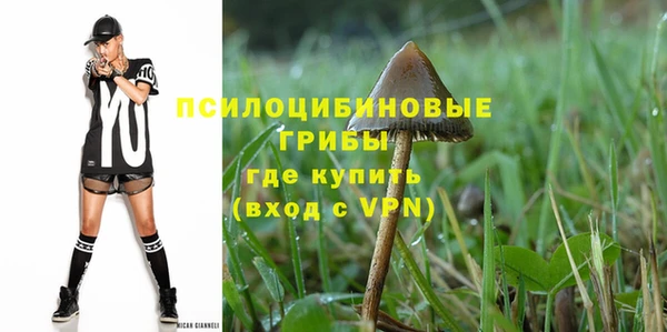 гашик Аркадак