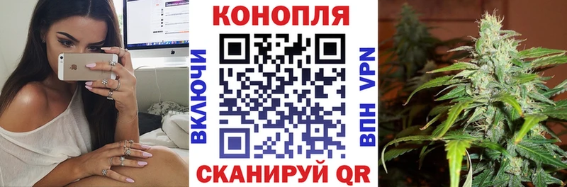 Канабис SATIVA & INDICA Родники